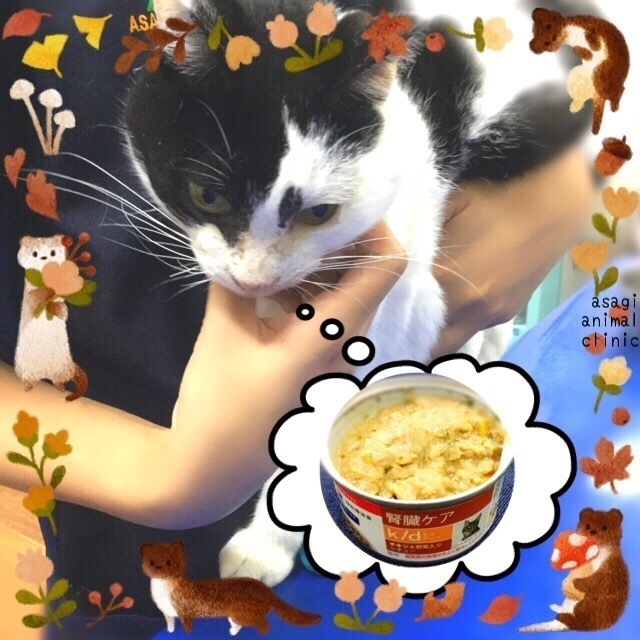 CF08E782-D7DA-4CE2-98FB-414F330FBD27.jpeg