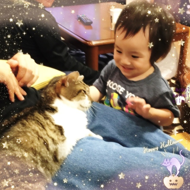 A3E46130-7E7D-4293-B67E-820CE73D2C29.jpeg