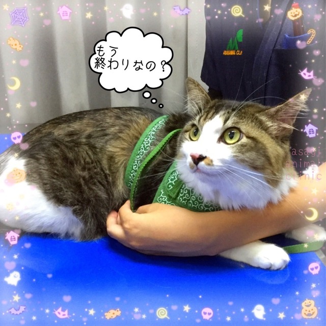 2AFF93CA-8033-4CC5-8D65-F1745488FE1E.jpeg