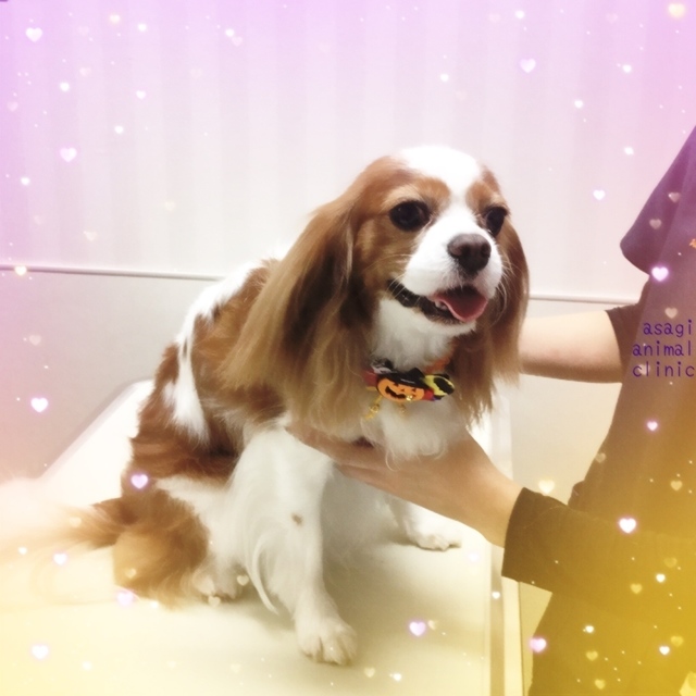 5DE870B9-A932-4459-A333-CCB74F92FBDA.jpeg