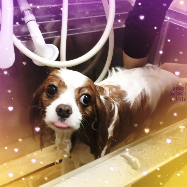 B38D1841-3CF6-4D73-A6C1-AD94E62AAD9D.jpeg