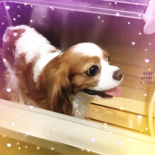 FF69ACC2-52D0-40DC-90FA-7A3D66AEC48C.jpeg