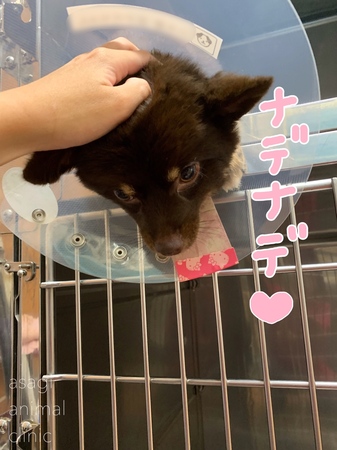 8185B3FE-8FD5-4137-A5F3-836AE6D66282.jpeg