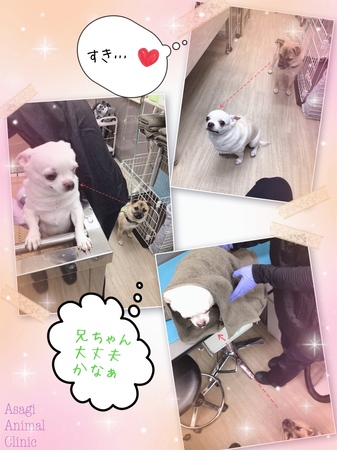 IMG_1819.jpeg