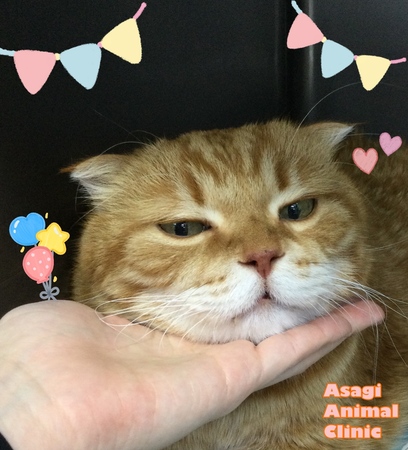 IMG_2581.jpeg