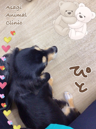 IMG_2715.jpeg