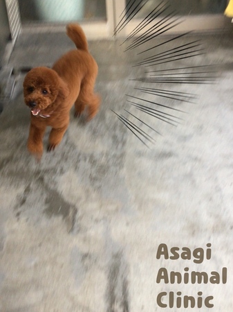 IMG_2990.jpeg