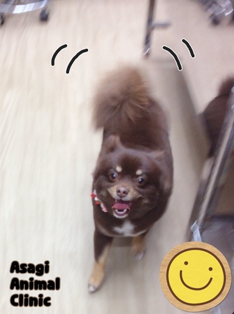 IMG_3153.jpeg