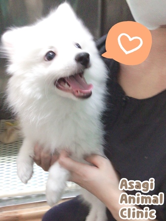 IMG_3376.jpeg