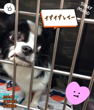 IMG_3507.jpeg