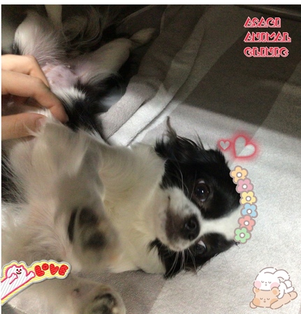 IMG_3508.jpeg