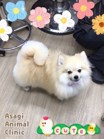 IMG_3543.jpeg